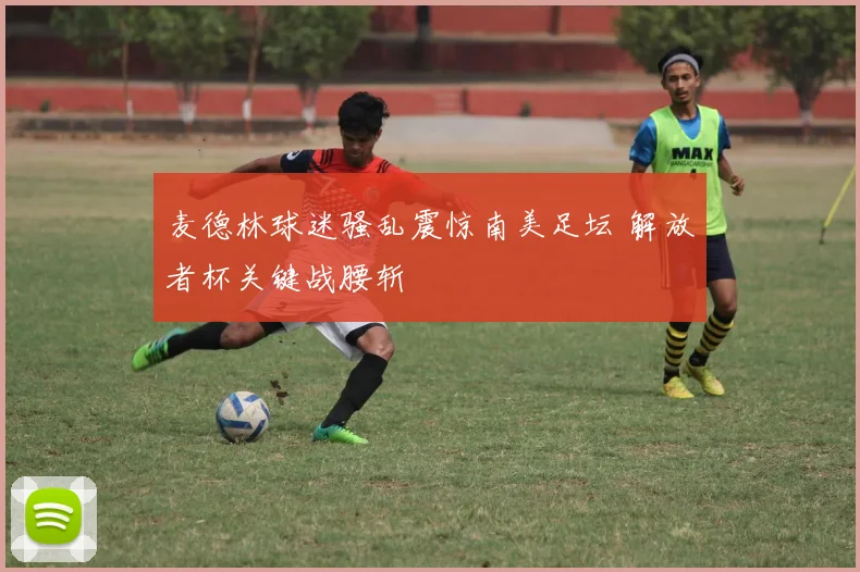麦德林球迷骚乱震惊南美足坛 解放者杯关键战腰斩